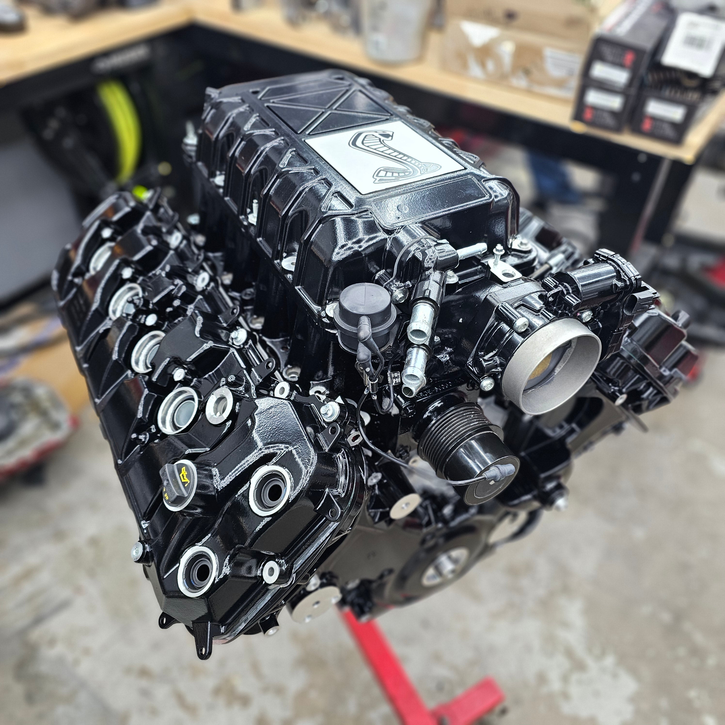 GT 1000 Supercharged Coyote