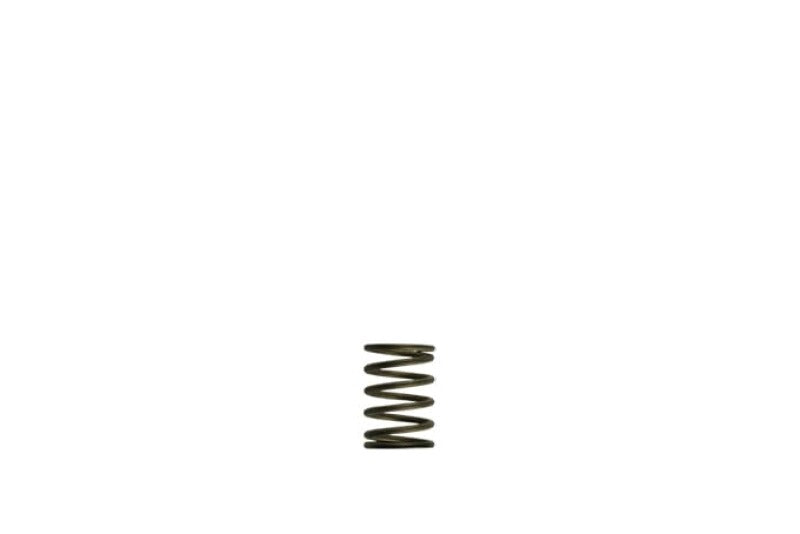 Turbosmart Gen-V WG38/40 3psi Black Inner Spring — image 1