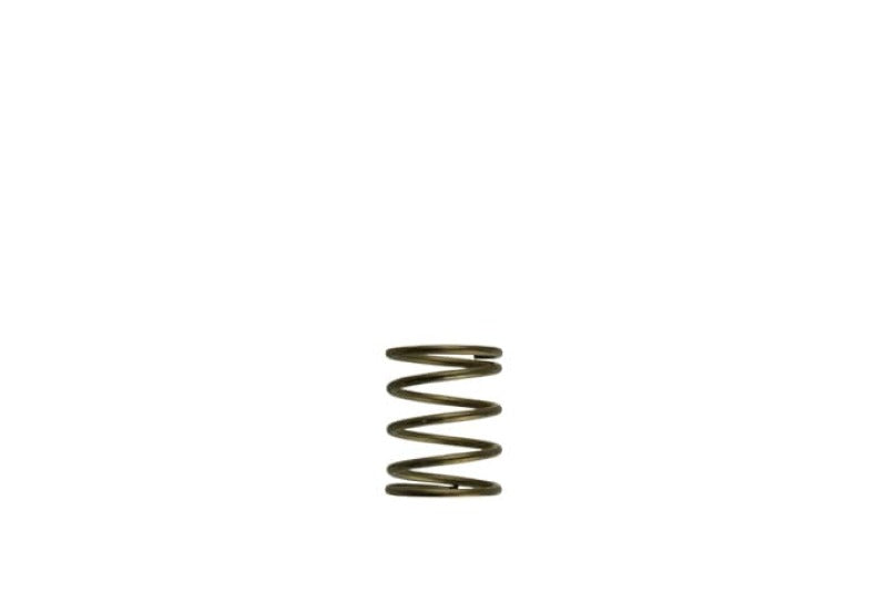 Turbosmart Gen-V WG45/50 3psi Orange Inner Spring — image 1